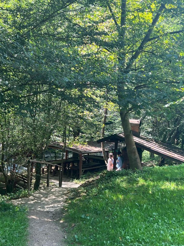 Pension Casa Vanatorilor Băile Olăneşti Exterior foto