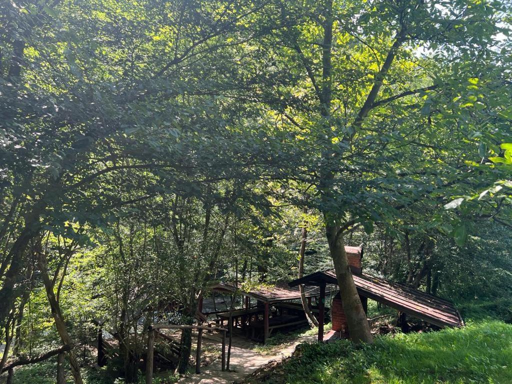 Pension Casa Vanatorilor Băile Olăneşti Exterior foto