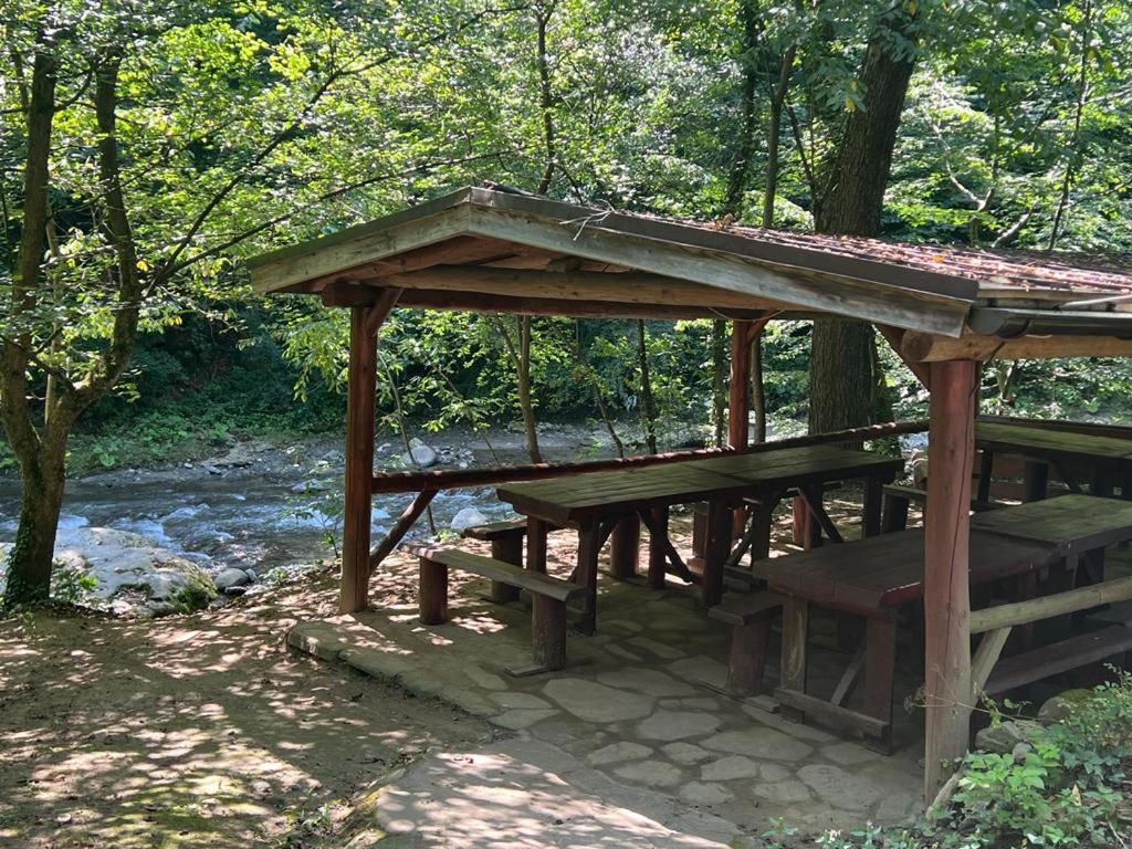 Pension Casa Vanatorilor Băile Olăneşti Exterior foto