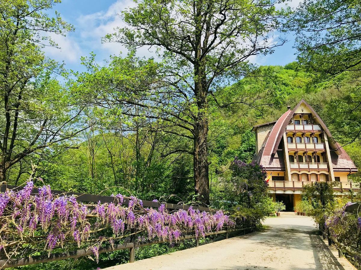 Pension Casa Vanatorilor Băile Olăneşti Exterior foto